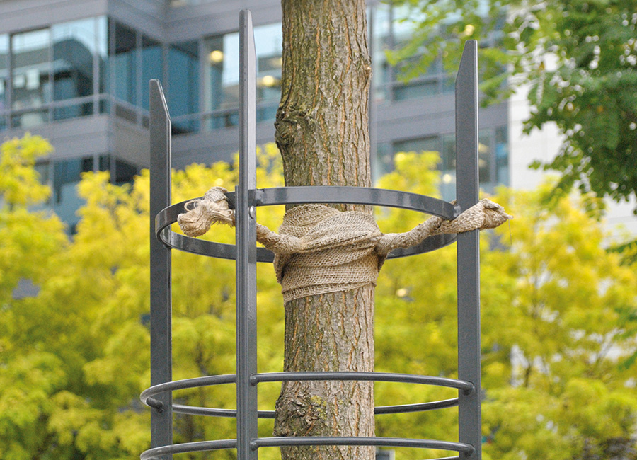 Corset et tuteur d'arbre ANKARA conçu et fabriqué par Aréa mobilier urbain