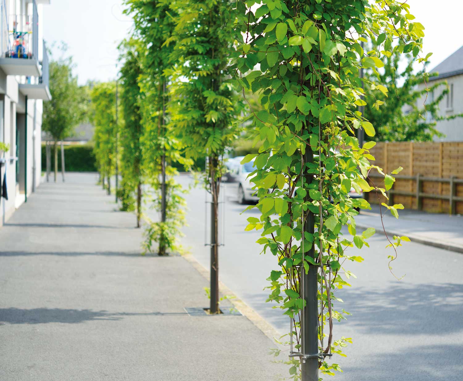 Mât pour plantes grimpantes Babylone - aréa