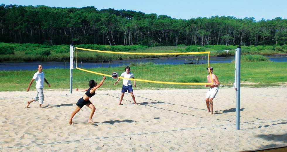Area - Sports et loisirs - Palm beach