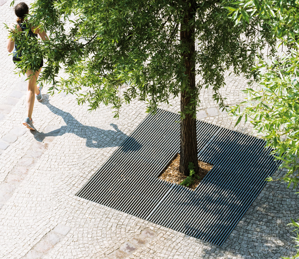 Area - Grille d'arbre - Baltimore
